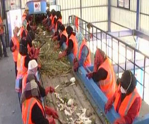   مصر اليوم - ارتفاع كمية النفايات الصلبة في الجزائر إلى 10 ملايين طن سنويًا