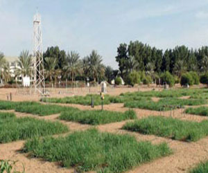   مصر اليوم - الإسماعيلية تطرح 69 مشروعًا لصغار المستثمرين في المنطقة الصناعية