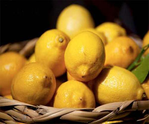   مصر اليوم - الليمون يحارب السمنة