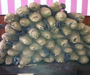   مصر اليوم - القبض على 3 تجار مخدرات في الإسماعيلية