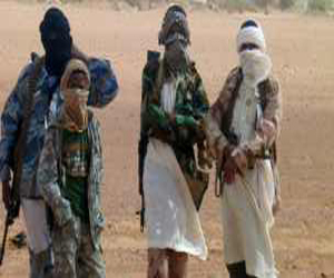 مصر اليوم - الإسلاميون في مالي يستولون على بلدة في منطقة الحكومة