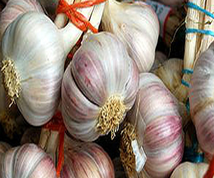 مصر اليوم - السويد تتهم بريطانيين بتهريب كميات من الثوم للاتحاد الأوروبي