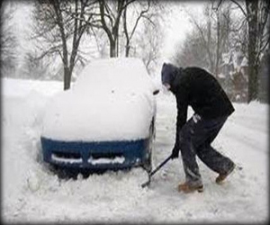 مصر اليوم - إنقاذ قطة وكلب من الموت في الثلوج في السويد