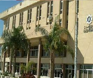   مصر اليوم - نيابة السويس تفرج عن 3 متهمين بالتنقيب عن الآثار