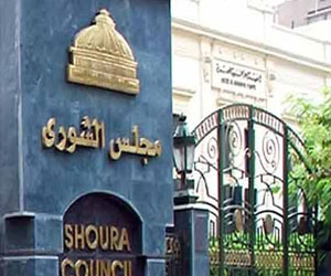   مصر اليوم - مالية الشورى تطالب برؤية شاملة لتقليل عجز الموازنة