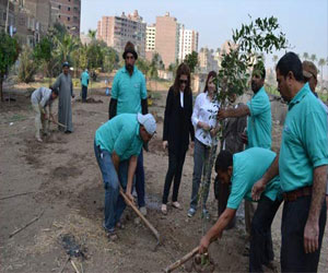   مصر اليوم - مبادرة لزراعة 100 ألف شجرة في 4 محافظات