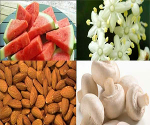 مصر اليوم - أغذية تقوي جهاز المناعة