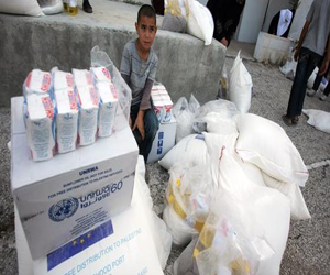   مصر اليوم - استقرار أسعار الغذاء لغياب سياسات الذعر