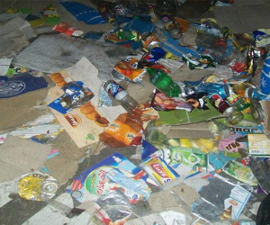   مصر اليوم - هيئة النظافة ترفع 25 طنًا من مخلفات مليونية الشرعية والشريعة