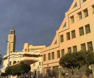 مصر اليوم - ندوة عن الأمراض المعدية للحيوانات في جامعة المنوفية