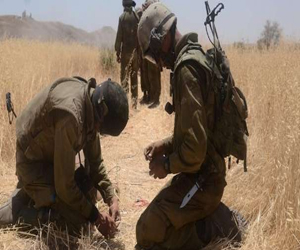   مصر اليوم - تخصيص 3 آلاف فدانًا من أراضي الألغام في مطروح لوزارة الإسكان