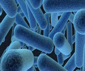 مصر اليوم - بكتيريا عمرها 2800 سنة تشير إلى وجود حياة على كواكب أخرى