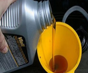 مصر اليوم - ساريا تقيم أول مصنع فرنسي لإنتاج زيت الديزل من دهون الحيوانات