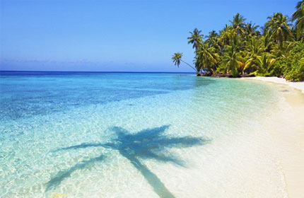   مصر اليوم - وسائل متعدد للاستجمام و الراحة والانعزال في جزر الملديف الساحرة