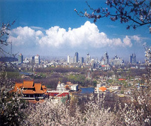 مصر اليوم - الآفات الضارة تهدد شمال شرقي الصين