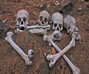 مصر اليوم - العثور على عظام بشرية عمرها 8500 عام في اسطنبول