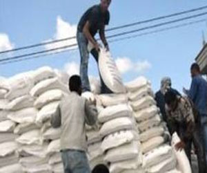   مصر اليوم - ضبط 33 جوالاً من الدقيق قبل بيعها في السوق السوداء في قنا