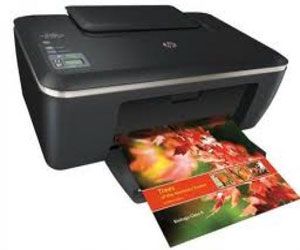   مصر اليوم - إتش بي تحذر من انتشار الأحبار المقلدة وتطرح 6 طابعات جديدة في مصر