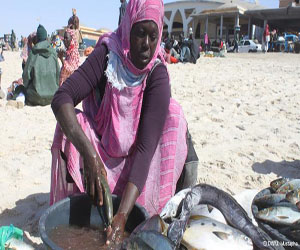  مصر اليوم - أنجايات البحر في موريتانيا يتحدين الرجال والتقاليد