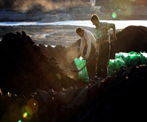   مصر اليوم - الامارات توقع عقدًا لاستثمار الفحم الحجري في تركيا