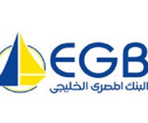   مصر اليوم - المصري الخليجي يقبل استقالة شاكر ويرشح الأتربي عضوًا منتدبًا