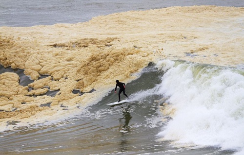   مصر اليوم - مغامرون بريطانيون يحظون بفرصة نادرة لركوب أمواج رغوية