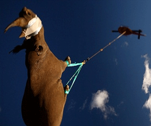   مصر اليوم - تركيا عضو في المرصد الأوروبي الجنوبي