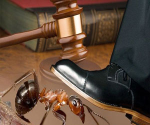 مصر اليوم - سعودي يقدم بلاغًا في قاتل نملة