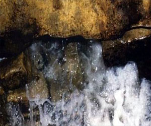 مصر اليوم - مسيحية تشهر إسلامها في السعودية بعد شفائها من الصرع بماء زمزم