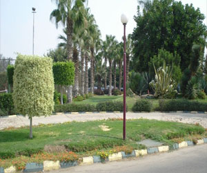   مصر اليوم - محافظ الإسماعيلية يناقش مشروع المخطط الإستراتيجي الجديد للمدينة