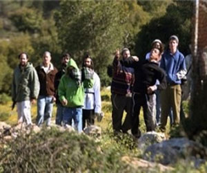 مصر اليوم - مستوطنون يقتلعون 200 شجرة زيتون في بيت لحم