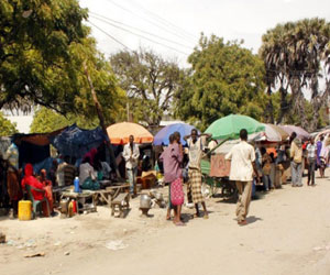   مصر اليوم - مؤسسة أبحاث: 12% من سكان العالم جائعين