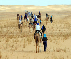 مصر اليوم - الجزائر تضع مخططًا لتأمين احتفالات رأس السنة