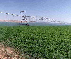   مصر اليوم - دول الخليج استهلكت مياه زراعة تكفي 500 عام مقبلة