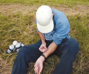 مصر اليوم - الإيبوجا نبات يعالج الإدمان