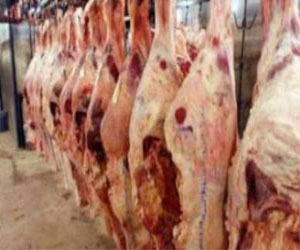 مصر اليوم - ضبط لحوم مذبوحة خارج المجازر العمومية في الإسكندرية