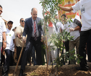   مصر اليوم - العربي الأفريقي يطلق حملة النظافة وتشجير المدينة بمشاركة محافظ الأقصر