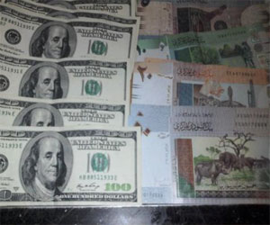   مصر اليوم - حملات أمنية ضد تجار العملة في السودان