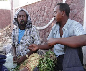   مصر اليوم - القات تحدٍّ للاقتصاد والأمن بالصومال