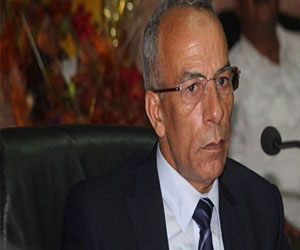   مصر اليوم - 937 مليون جنية الاستثمارات المخصصة لسيناء 2012/2013