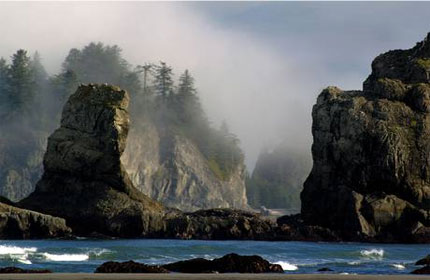   مصر اليوم - فوركس مدينة مبدعة صيغت فيها روايات مصاصي الدماء و أفلام الشفق