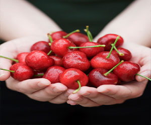 مصر اليوم - الكرز يقلل من خطر الإصابة بنوبات نقرس