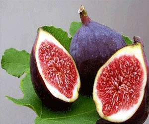 مصر اليوم - التين أفضل منشط طبيعي