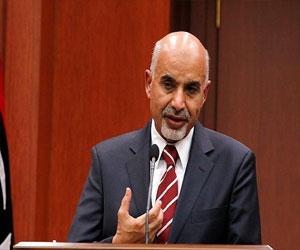   مصر اليوم - تأجيل قمة مرسي والمقريف في القاهرة إلى فبراير