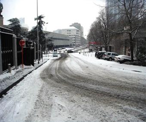 مصر اليوم - الثلوج تكسو بروكسل ومعظم أرجاء بلجيكا