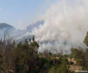 مصر اليوم - الحرائق سبب أساسي في زيادة مستوى الاحتباس الحراري