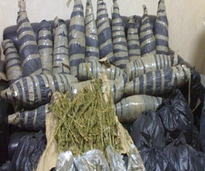   مصر اليوم - القبض على 10 أشخاص بحوزتهم مواد مخدرة في الإسماعيلية