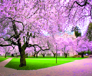   مصر اليوم - زيادة حرارة الأرض تغيّر تفاصيل موسم الربيع