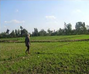 مصر اليوم - مزارعون ألمان يجمعون مئات ألاف التواقيع ضد تآكل الأراضي الزراعية