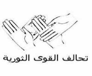   مصر اليوم - تحالف القوى الثورية يدعون للعصيان المدني الثلاثاء المقبل